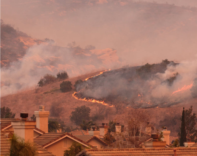 Steps You Can Take to Prepare for a Wildfire