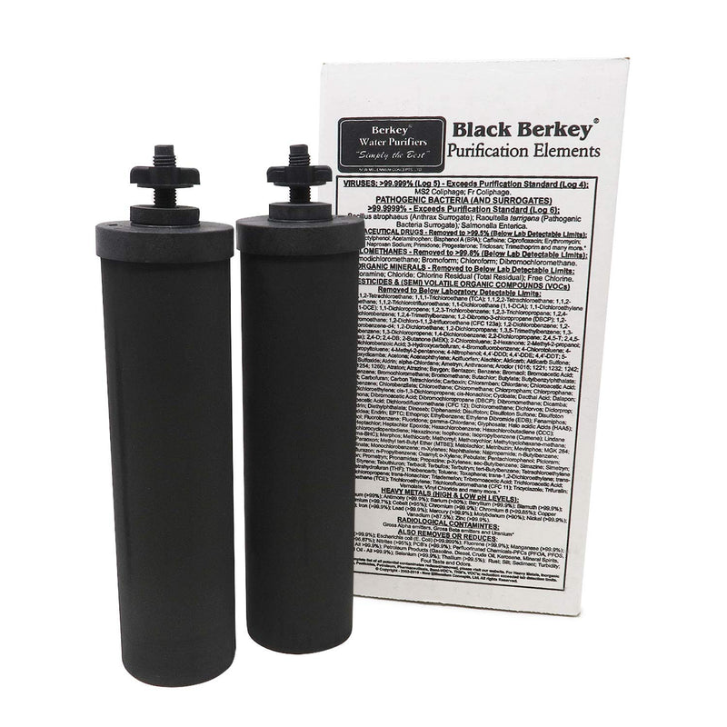 Black Berkey Replacement Filters & Fluoride Filters Combo Pack - Includes 2 Black Filters and 2 Fluoride Filters