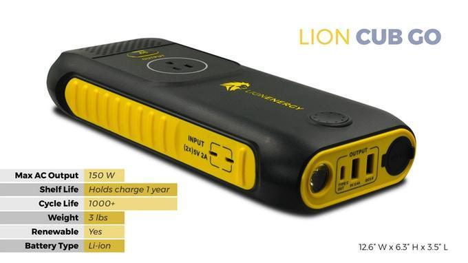 Lion Cub GO Power Generator